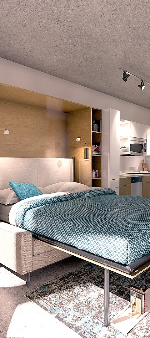 Studio Apartment: Murphy Bed