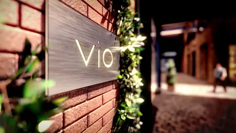 The Vio