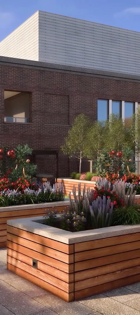 Rooftop Herb Garden