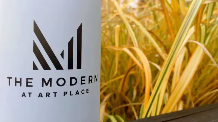 The Modern apartment visual branding inspired by Washington Color School